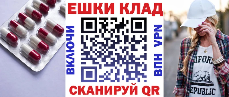 Ecstasy Philipp Plein  OMG ссылки  Псков 