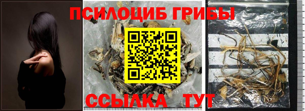 Псилоцибиновые грибы Psilocybe  Псилоцибиновые грибы мухоморы  Псков  Вход с VPN 